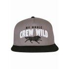 Cayler & Sons / Crew Wild Cap grey/black