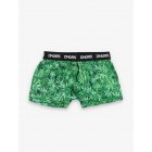 Dangerous DNGRS / Boxer Short Weed in green